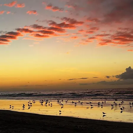 Lejlighed La Vigie Spacieux, Lumineux, Piscine