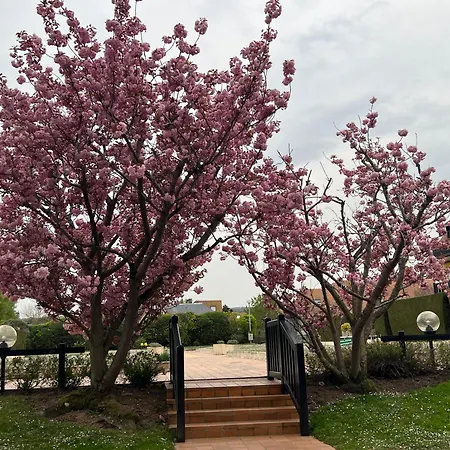 La Vigie Spacieux, Lumineux, Piscine Deauville