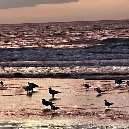 La Vigie Spacieux, Lumineux, Piscine *