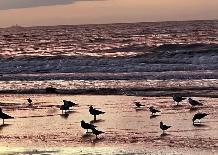 La Vigie Spacieux, Lumineux, Piscine *