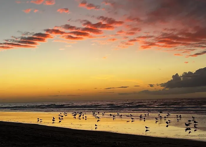 Lejlighed La Vigie Spacieux, Lumineux, Piscine