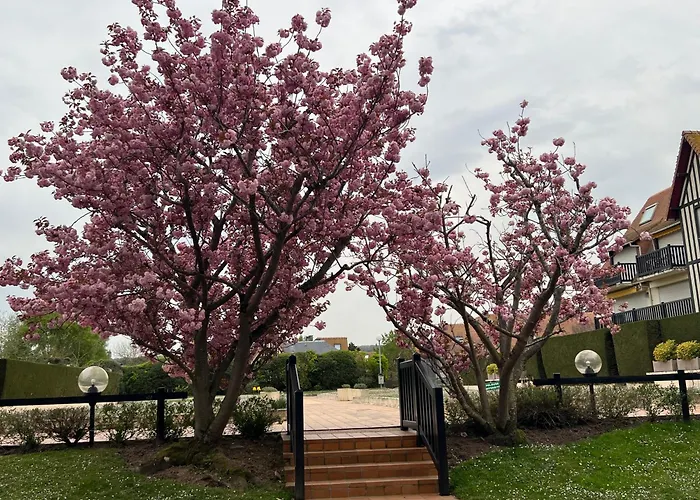 La Vigie Spacieux, Lumineux, Piscine Deauville